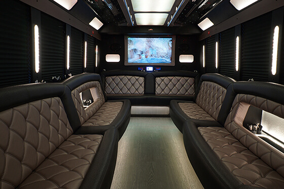 luxurious party bus rental